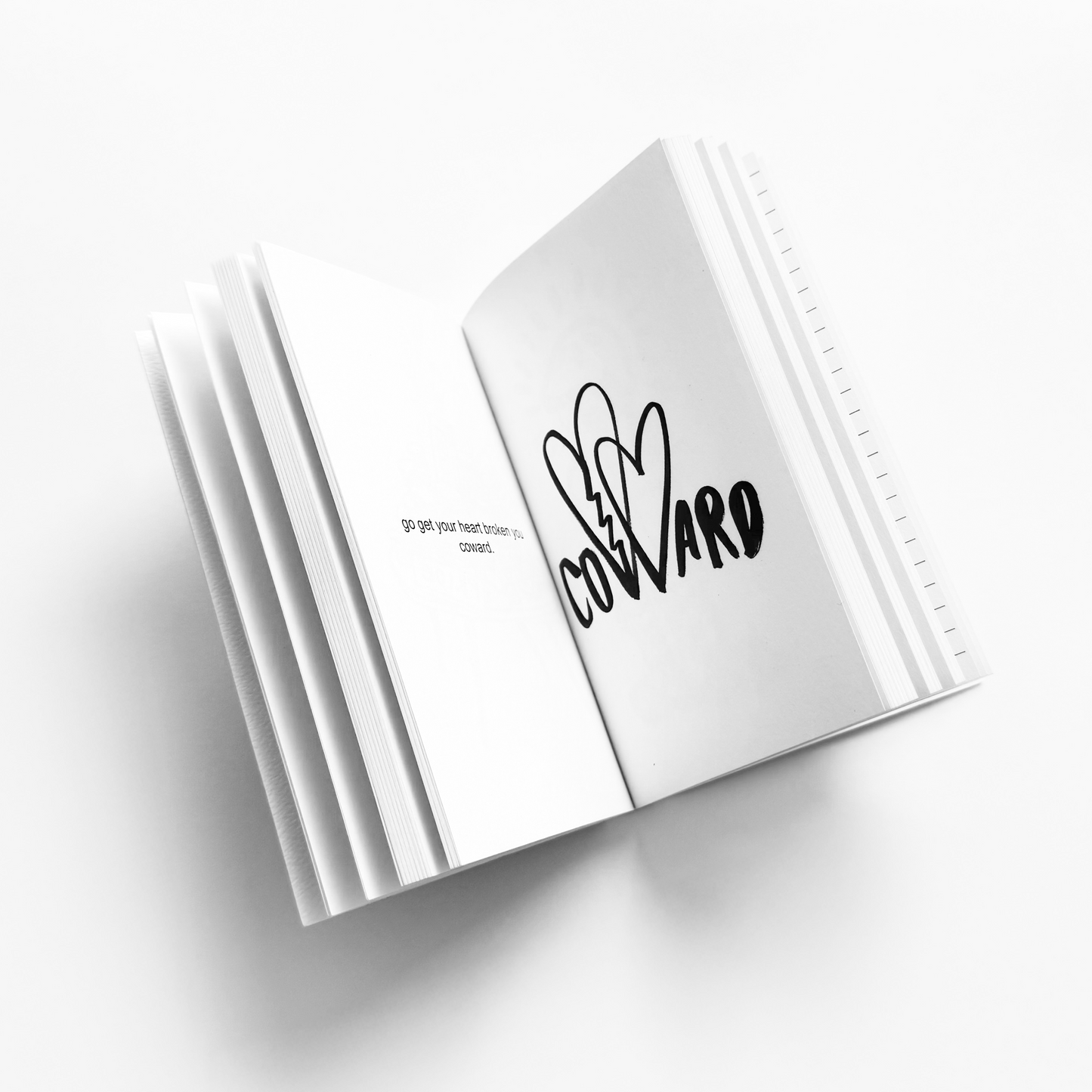 100: A City Kid's Survival Guide (letters to Idris)